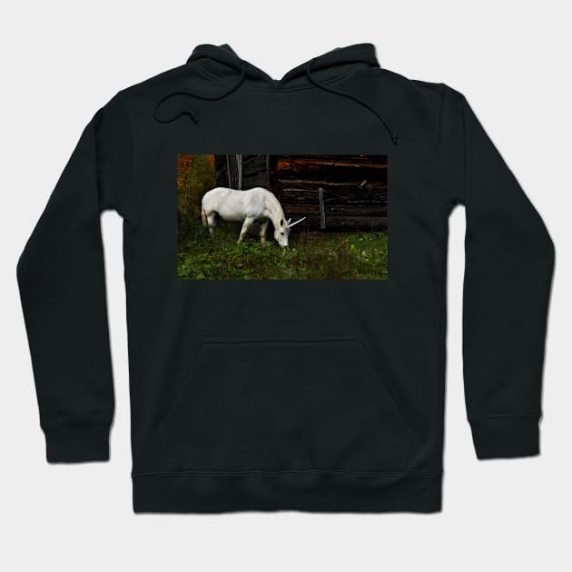 Do you believe in Unicorns? Hoodie by Jim Cumming